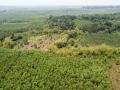 Đồng Nai đề nghị UNESCO cho ý kiến xây 'quốc lộ xuyên rừng'