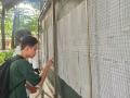 Hà Nội: Gần 103.000 học sinh bước vào môn thi đầu tiên cạnh tranh vào lớp 10