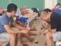 Vụ 42 người trốn casino bơi về Việt Nam: Chủ tịch An Giang yêu cầu mở rộng điều tra