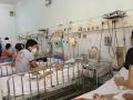 TP.HCM: Số ca sốt xuất huyết giảm gần 50%