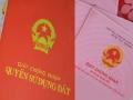 Đồng Nai: Xác minh thông tin vợ bí thư huyện Long Thành 'thu gom' đất dự án