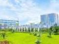 Nhiều trường tuyển sinh ngành học mới