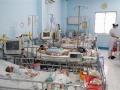 Cảnh báo dịch bệnh tay chân miệng bùng phát ở khu vực ĐBSCL