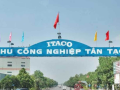 Doanh thu Tân Tạo của bà Đặng Thị Hoàng Yến âm hơn 2.000 tỷ đồng
