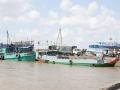 Thông tin cụ thể về tình hình hoàn thiện thủ tục các dự án nêu trên, đại diện Vụ Kế hoạch Đầu tư cho biết, dự án đường Hồ Chí Minh đoạn Rạch Sỏi - Bến Nhất, Gò Quao - Vĩnh Thuận và đoạn Chợ Chu - Ngã ba Trung Sơn đang được hoàn thiện hồ sơ để trình cấp có thẩm quyền quyết định chủ trương đầu tư trong năm 2022.  Đối với dự án ODA mở rộng một số cầu, hầm trên Quốc lộ 1A và tuyến nối Hà Giang với cao tốc Nội Bài - Lào Cai, Bộ GTVT đã gửi Bộ Kế hoạch Đầu tư, Bộ Tài chính đề xuất ODA cho 2 dự án.