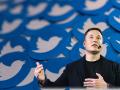 Tiếp tục thương vụ mua Twitter, tài sản của tỉ phú Elon Musk tăng sốc