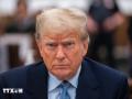 Tòa án Tối cao Mỹ: Cựu Tổng thống Trump được hưởng quyền miễn trừ truy tố