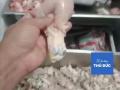 Thêm nhiều trường ở TP Thủ Đức ngưng bữa ăn bán trú sau vụ phát hiện thực phẩm ôi thiu