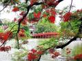 Hà Nội lọt top 15 thành phố được du khách ưa chuộng nhất thế giới