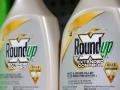 Hơn 8.000 tỉ đồng bồi thường cho một người Mỹ bị ung thư do thuốc diệt cỏ Roundup