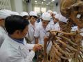Xét tuyển y khoa bằng môn văn: Cần sớm có chuẩn chương trình đào tạo