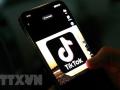 Mỹ và Canada yêu cầu các cơ quan chính phủ gỡ bỏ ứng dụng TikTok