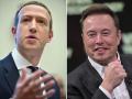 Tỉ phú Elon Musk chê đối thủ Mark Zuckerberg nhát gan, đòi đến tận nhà tỉ võ