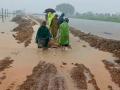 Sức chống chịu của đê điều miền Trung mong manh trước bão số 5