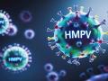 Tổ chức Y tế Thế giới (WHO) nói gì về dịch bệnh do virus HMPV?