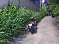 Người đàn ông tử vong bên chiếc xe máy đậu trên đường