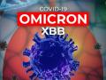 Bộ Y tế: Biến thể XBB xuất hiện tại TP.HCM và Tây Ninh