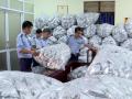 Phát hiện kho chứa 40.000 gói rong biển trôi nổi ở Bắc Ninh