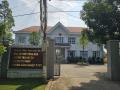 Xử phạt hành chính Trưởng phòng Tư pháp huyện có hành vi trộm cây hoa giấy