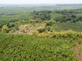 Đồng Nai đề nghị UNESCO cho ý kiến xây 'quốc lộ xuyên rừng'