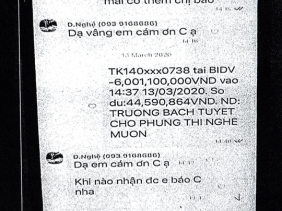 "Độc chiêu" Phùng Thị Nghệ lừa đảo hàng loạt đại gia từ Bắc vào Nam