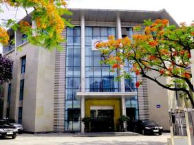 Cổ phiếu thăng hoa, lãnh đạo công ty "nắm" mỏ đất hiếm lớn nhất Việt Nam muốn bán