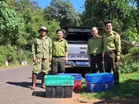 Bình Phước: Thả 14 loài động vật quý hiếm về rừng tự nhiên
