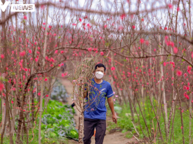 Hà Nội nghiêm cấm biếu, tặng quà Tết lãnh đạo