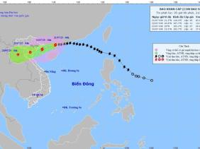 Tin bão mới nhất: Bão số 3 WIPHA cách Quảng Ninh - Hải Phòng khoảng 233km