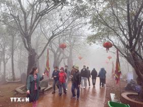 Các địa phương chủ động ứng phó với rét đậm, rét hại và gió mạnh trên biển