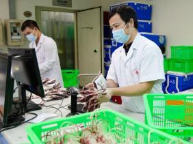 Nguy cơ thiếu nhóm máu O