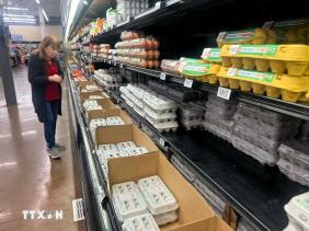 Bùng phát bệnh Salmonella tại nhiều bang ở Mỹ