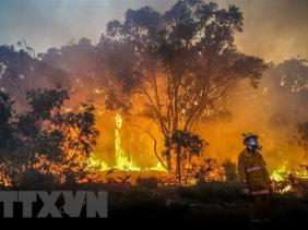  MÔI TRƯỜNG Cháy rừng tại Australia khiến lỗ thủng tầng ozone ở Nam Cực rộng thêm