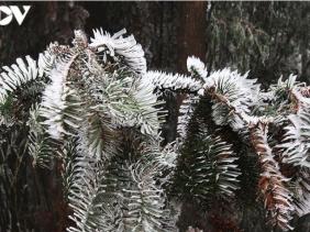 I Miền Bắc đón đợt không khí lạnh tăng cường, vùng núi dưới 5 độ C