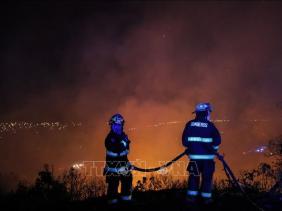 Cháy rừng thiêu huỷ nhiều ngôi nhà ở Chile