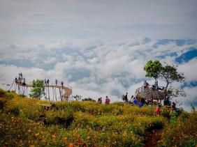 Điểm du lịch Nông trường Mộc Châu chuyển "màu đỏ"