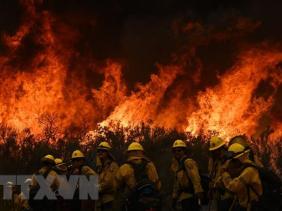 Mỹ: Bang California đối mặt mùa cháy rừng ngay sau mùa Đông ẩm ướt