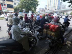 Dừng đèn đỏ dưới bóng cây có thể bị phạt