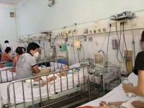 TP.HCM: Số ca sốt xuất huyết giảm gần 50%