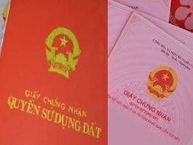 Đồng Nai: Xác minh thông tin vợ bí thư huyện Long Thành 'thu gom' đất dự án