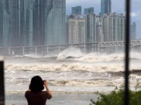 Bão Hinnamnor càn quét vùng công nghiệp phía nam Hàn Quốc