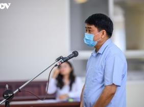 Người quen của ông Nguyễn Đức Chung nâng giá cây xanh từ 2 đến 10 lần