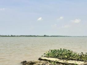 Hủy kết quả đấu giá mỏ cát 2.811 tỉ đồng trên sông Tiền