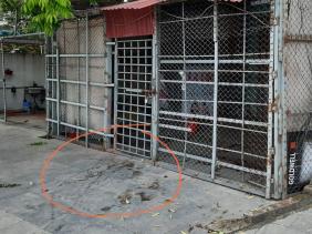 Nữ nhân viên quán cà phê thư giãn bị sát hại ở Bắc Giang