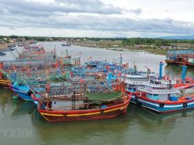 Ứng phó bão số 5, Quảng Ninh tạm dừng cấp phép cho tàu, thuyền ra khơi