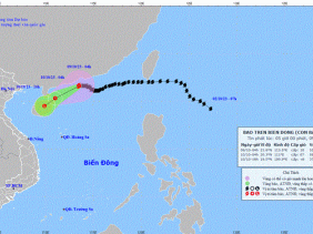  Bão số 4 di chuyển chậm theo hướng Tây, sẽ suy yếu thành áp thấp