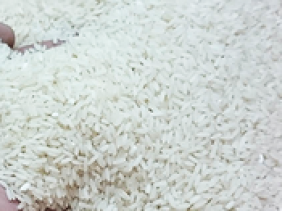 Xuất cấp gạo cho 5 tỉnh dịp Tết Nguyên đán Quý Mão và giáp hạt năm 2023