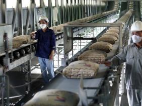 Xi măng đồng loạt tăng giá mạnh