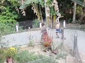 Bắt khẩn cấp kẻ đánh tử vong người phụ nữ ở Tiền Giang