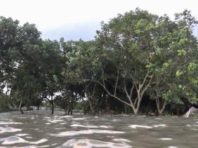 Vĩnh Long: Tích cực hỗ trợ người dân mất nhà do sạt lở